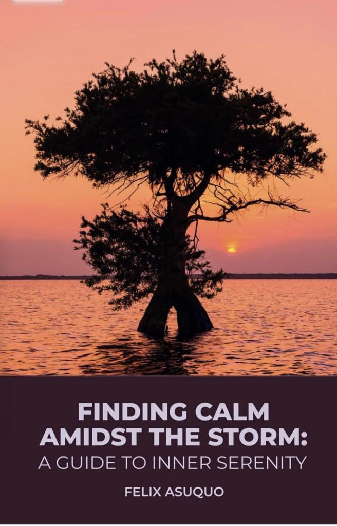 Finding calm amidst the storm book